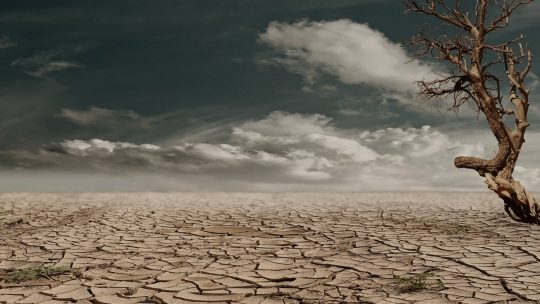 Extrémne suchá spôsobené klimatickou zmenou