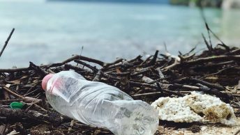 Znečistenie plastami v oceánoch